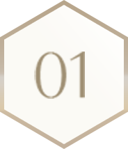 POINT 01